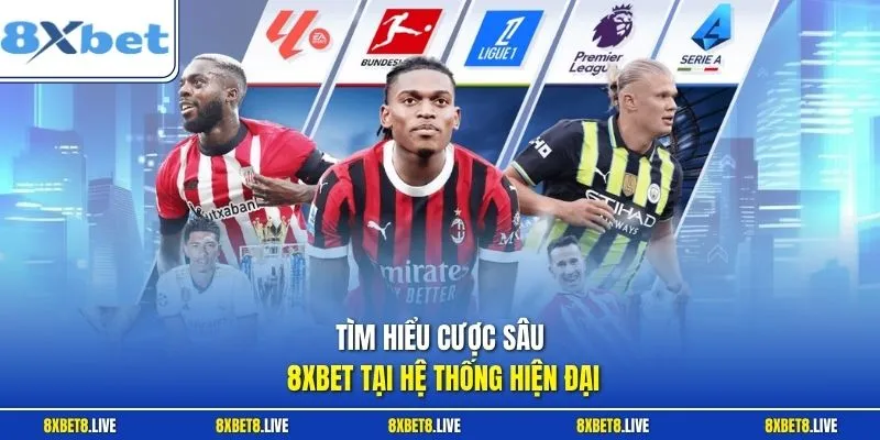 Tìm hiểu cược sâu 8Xbet tại hệ thống hiện đại 